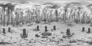 Thoreau's Cabin Site Walden Pond Infrared Small scaled